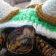 Illustration for article titled Turtle Cosplay Will Stop You Ever Jumping On Bowser Again